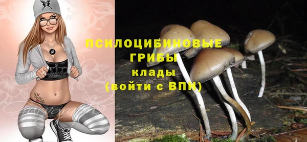 твердый Армянск