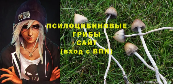 хмурый Сосновый Бор